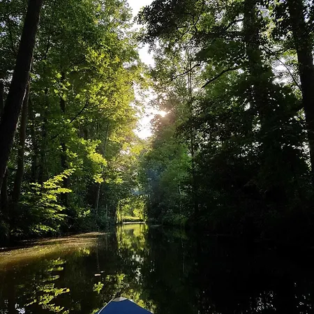 Pensjonat Willischza 3*