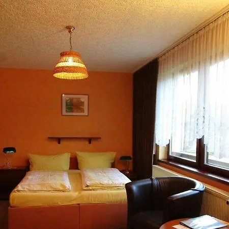 Willischza Pensjonat 3*