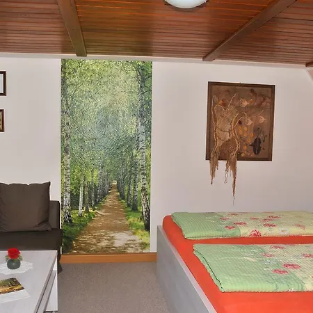 Guest house Willischza 3*