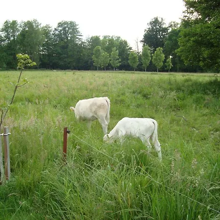 Willischza Burg (Spreewald)