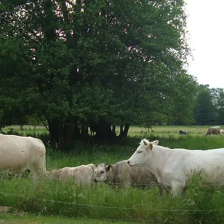 Pensjonat Willischza